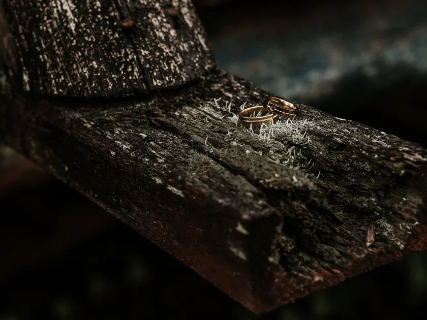 Two gold rings on weathered wood