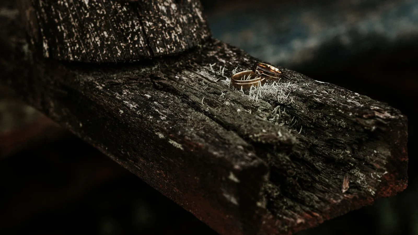 Two gold wedding rings resting on a weathered wooden beam